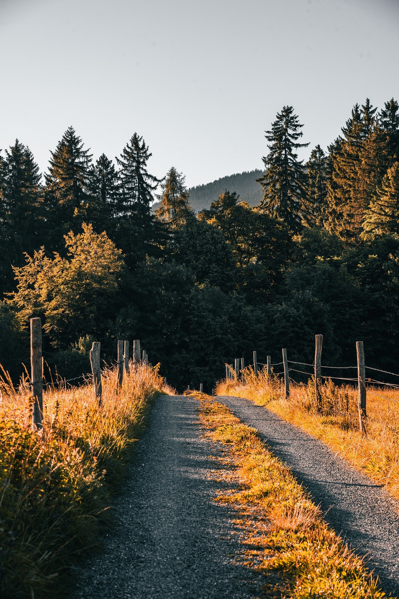 乐观锁与悲观锁
